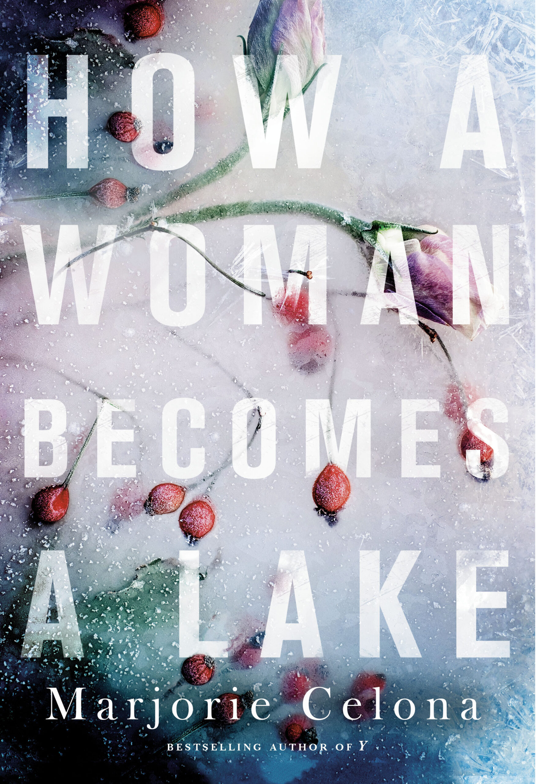 Celona, Marjorie - How a Woman Becomes a Lake
