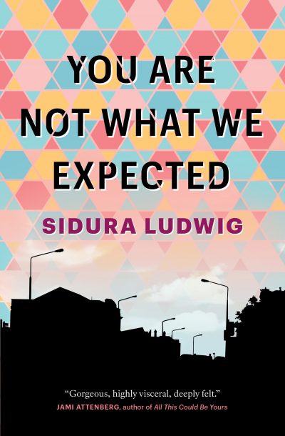 You Are Not What We Expected by Sidura Ludwig, 2020