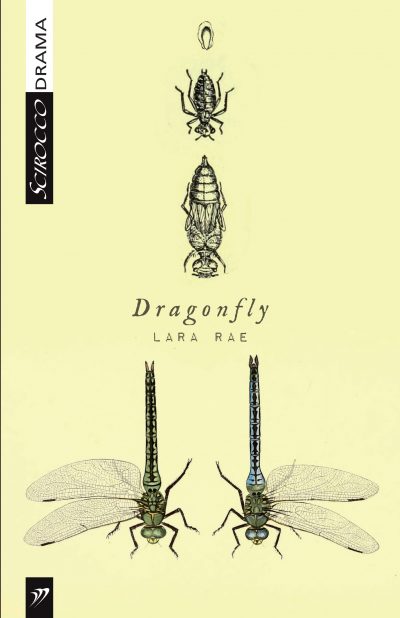 Dragonfly book cover