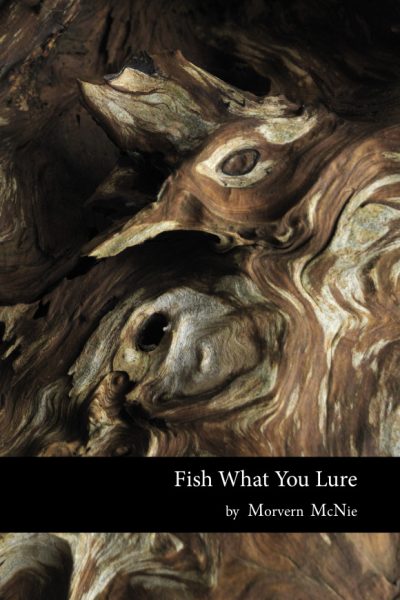 Fish What You Lure cover
