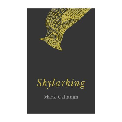 Skylarking by Mark Callanan cover