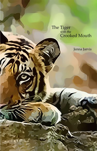 The Tiger with the Crooked Mouth by Jenna Jarvis book cover