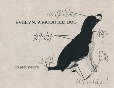 EVELYN, A MODIFIED DOG cover