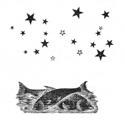 Fish Gotta Swim Editions logo