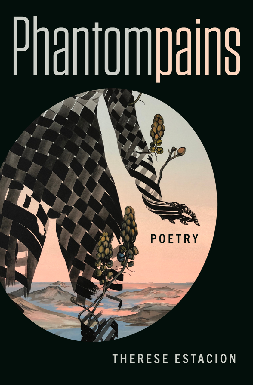 Phantompains book cover