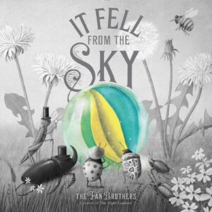It Fell From the Sky book cover