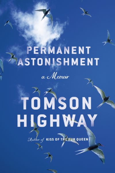 Permanent Astonishment book cover