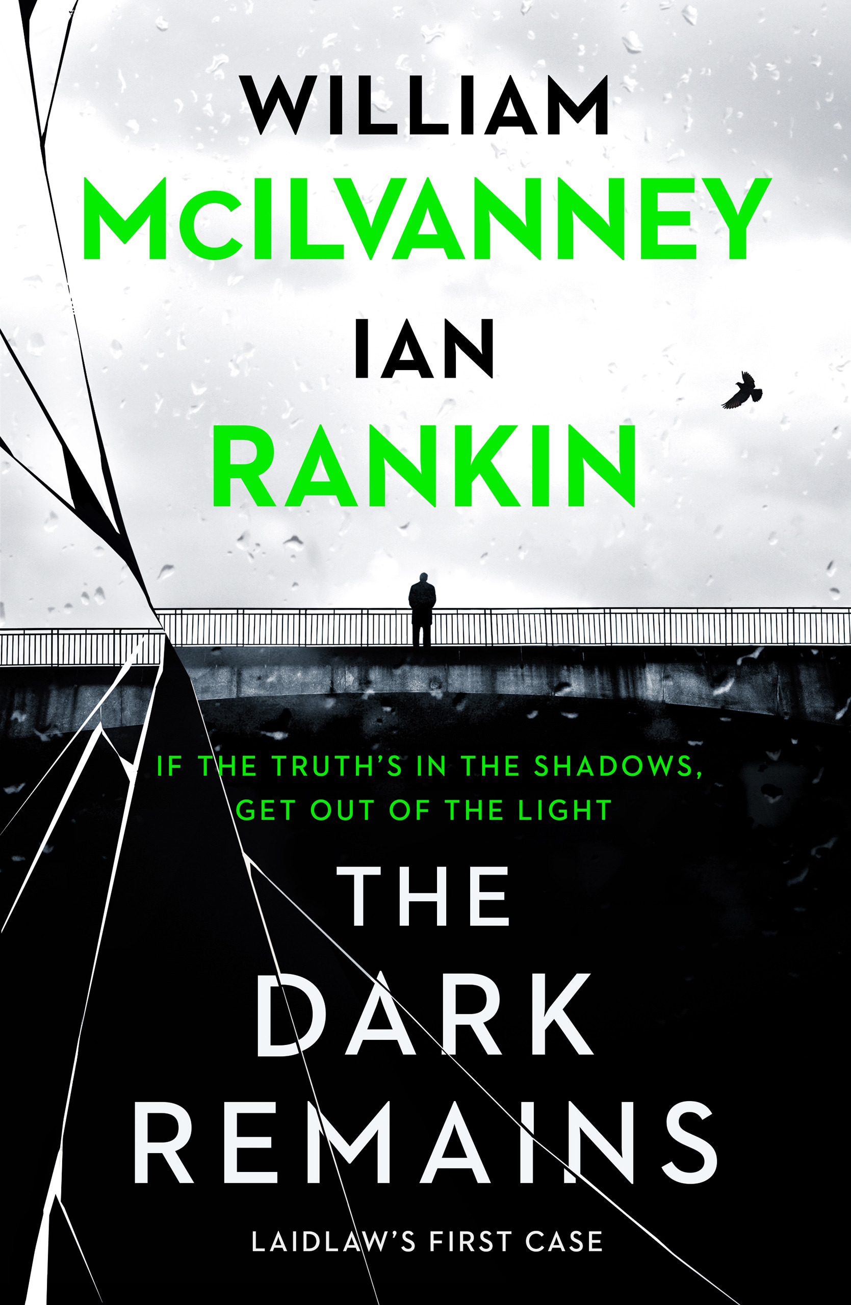 The Dark Remains book cover