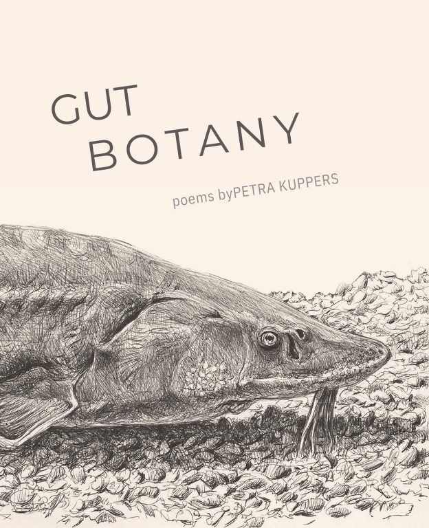 Petra Kuppers Book Cover