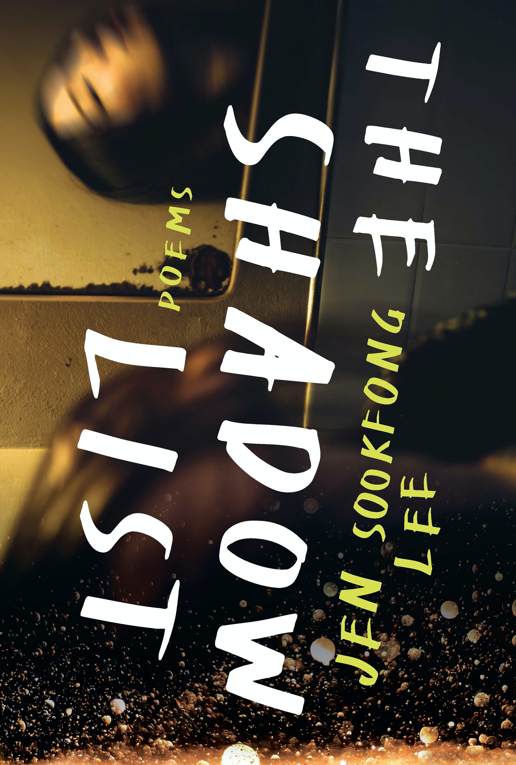 The Shadow List book cover