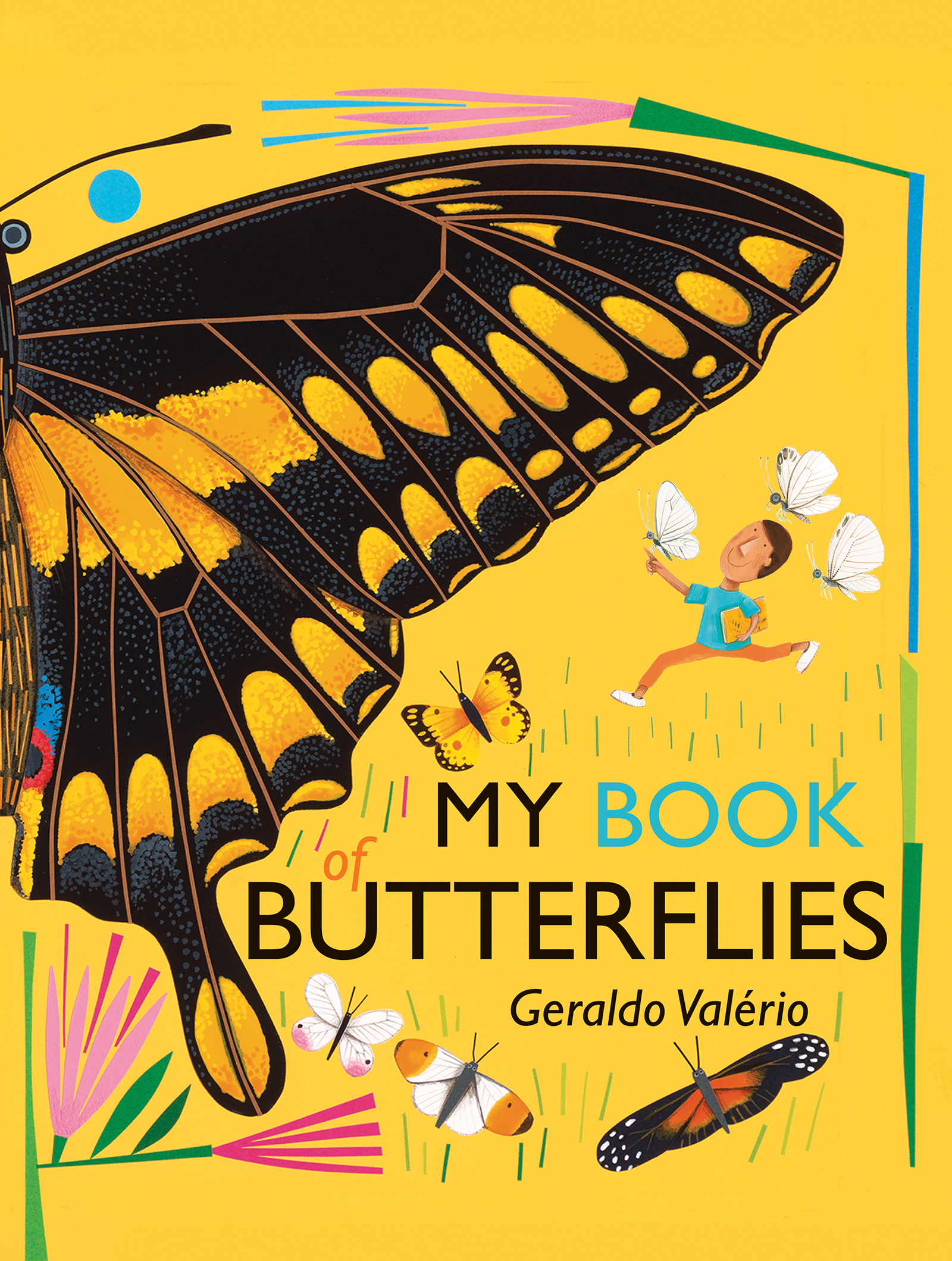 My Book of Butterflies book cover