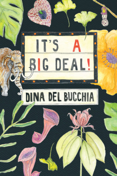 Dina Del Bucchia Book Cover