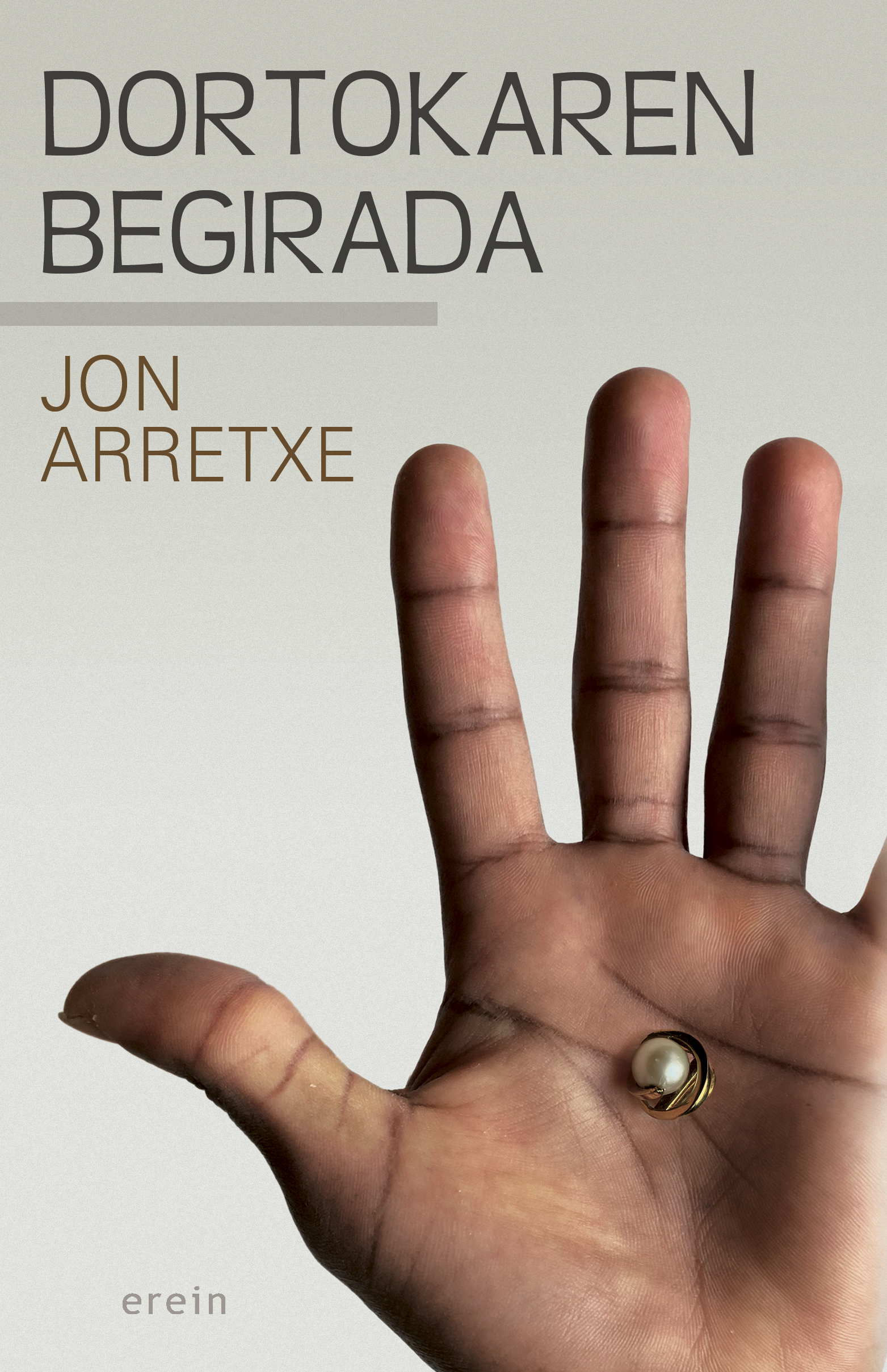 Jon Arretxe's THE TOURÉ’S SAGA Book 8 Dortokaren Begirada book cover