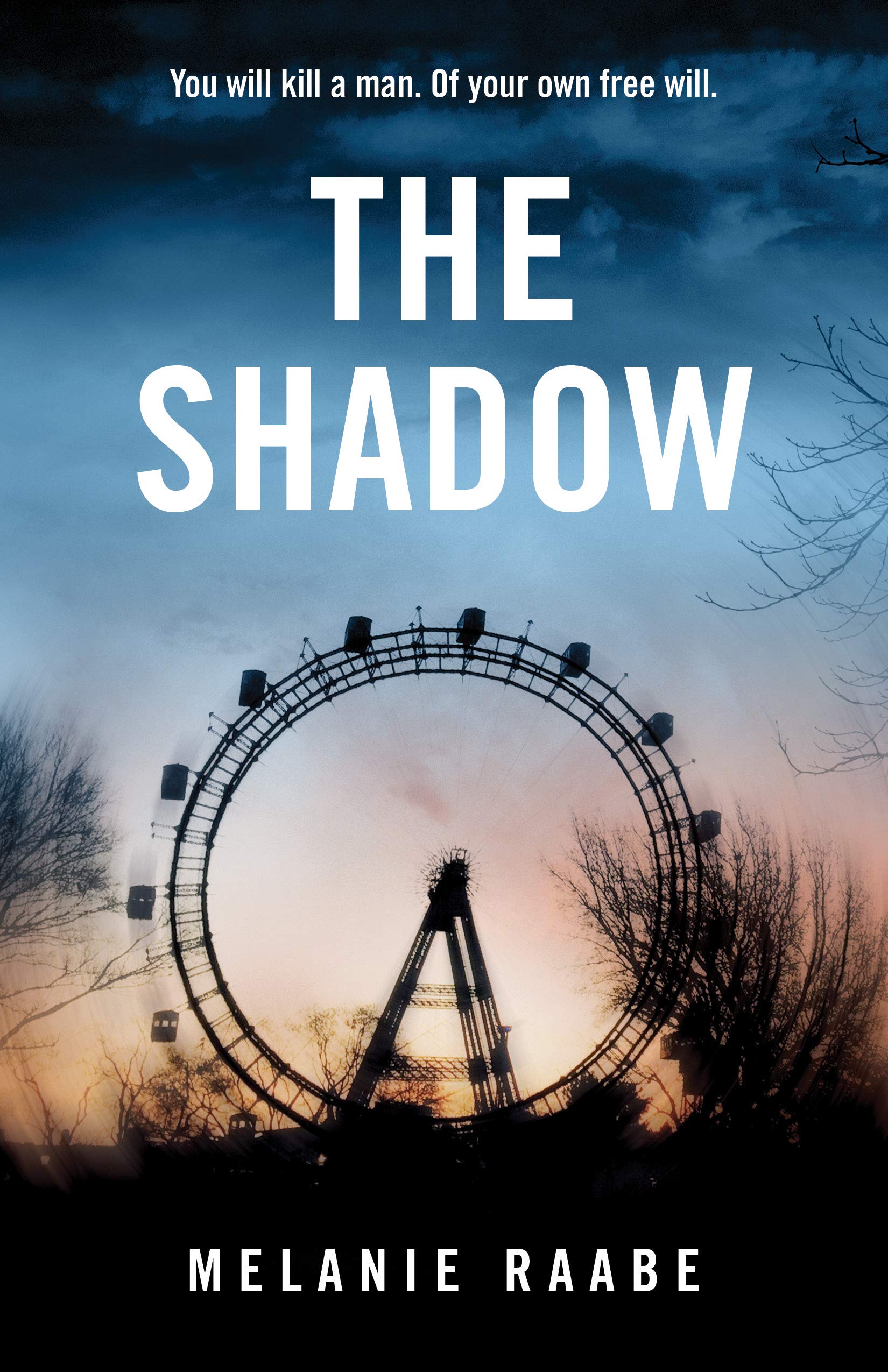 Melanie Raabe's The Shadow book cover