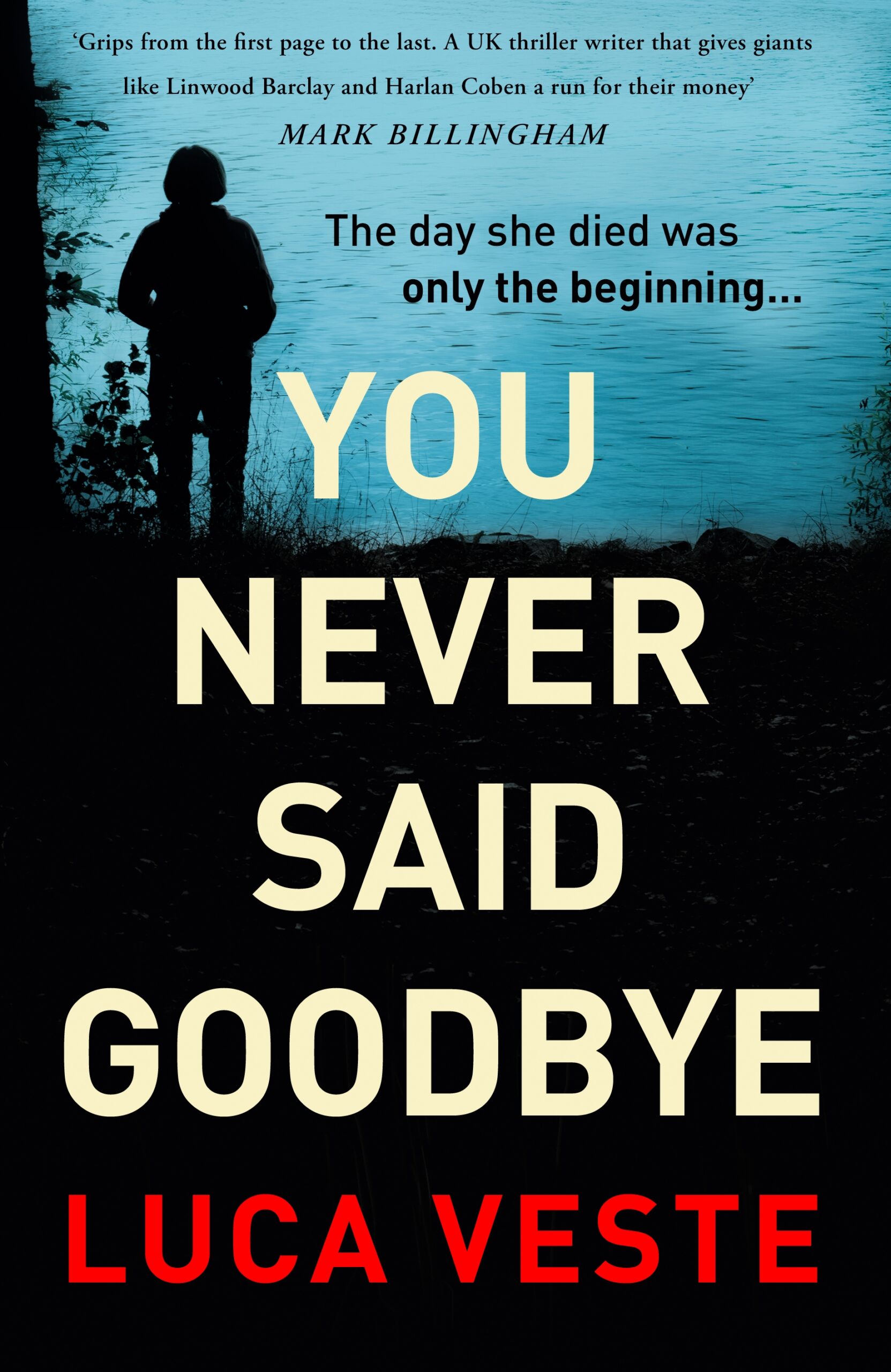 Luca Veste's You Never Said Goodbye book cover