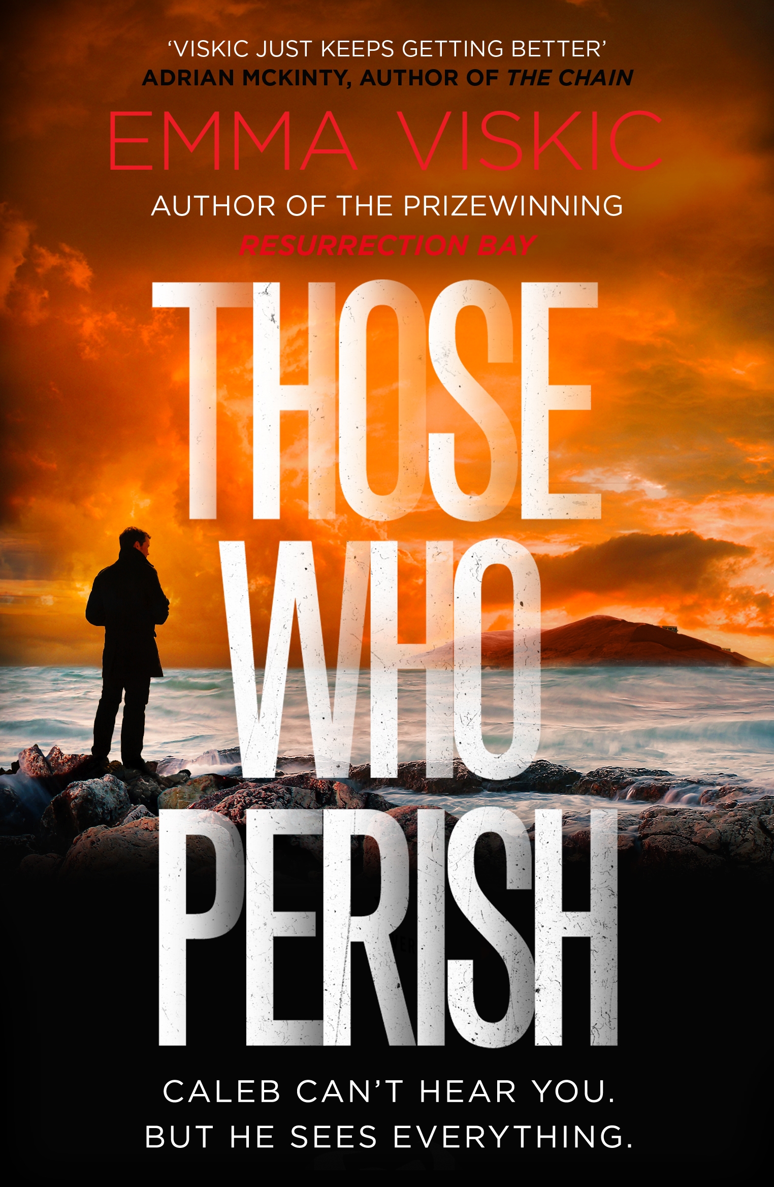 Emma Viskic's Those Who Perish book cover