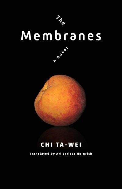 The Membranes by Chi Ta-wei, 2021