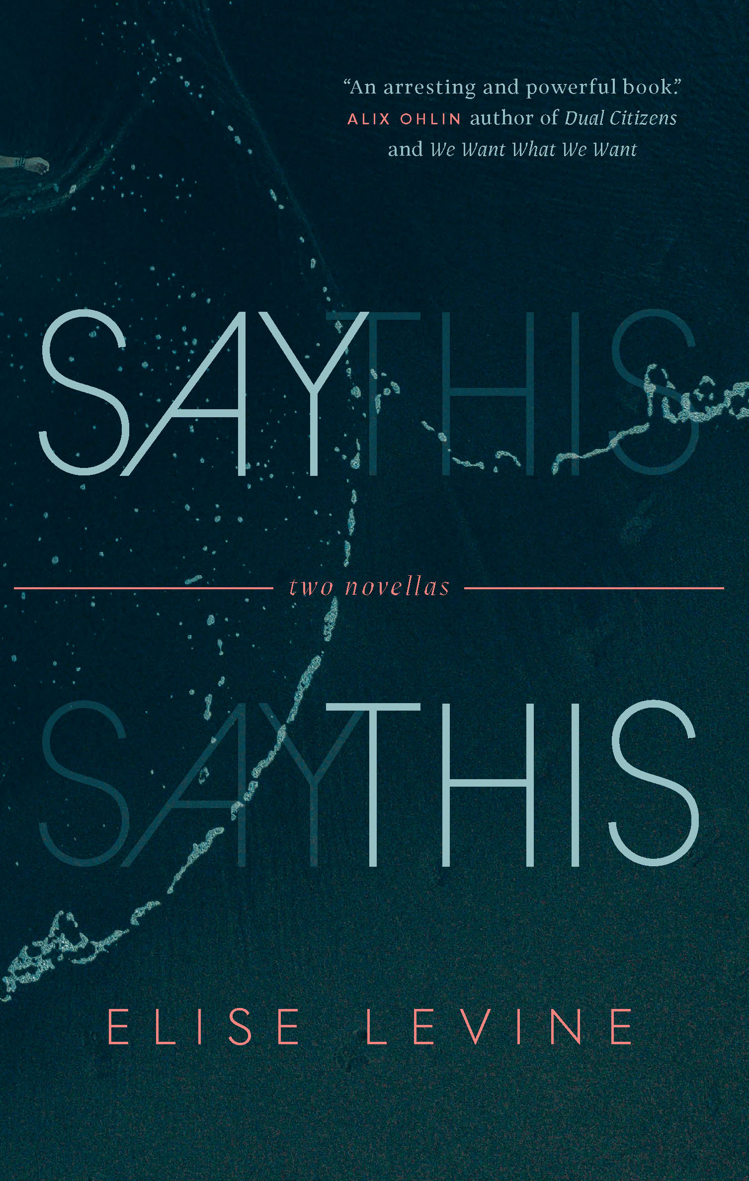 Elise Levine's Say This book cover