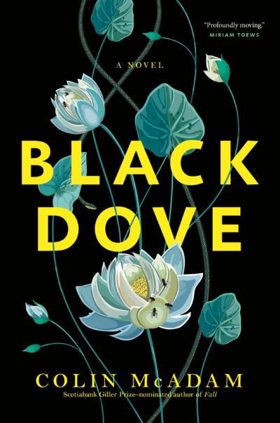 Black Dove by Colin McAdam, 2022
