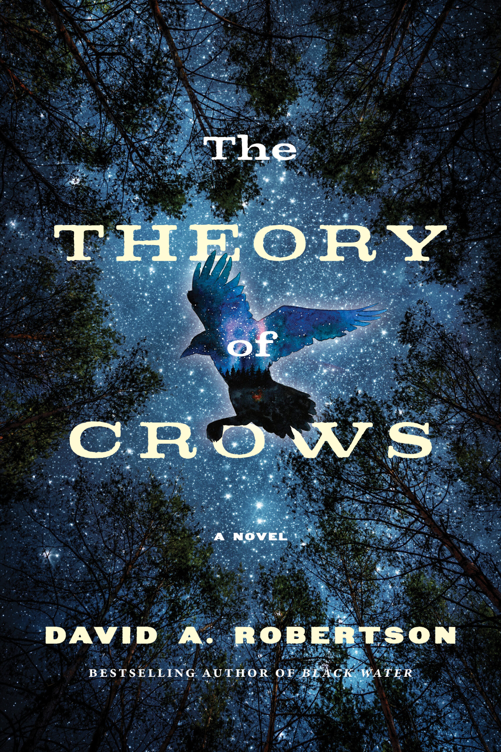David A. Robertson's The Theory of Crows book cover