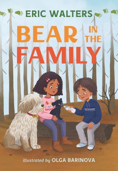 Eric Walters' Bear in the Family book cover