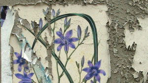 Who Is We artwork with purple flowers on a background that looks like paint peeling off concrete