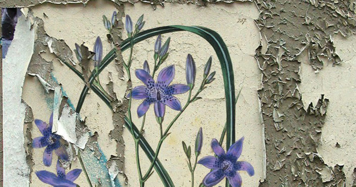 Who Is We artwork with purple flowers on a background that looks like paint peeling off concrete