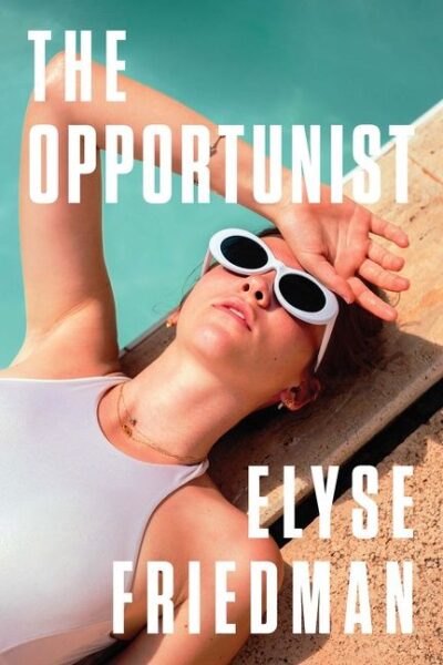 The book cover of Elyse Friedman's The Opportunist
