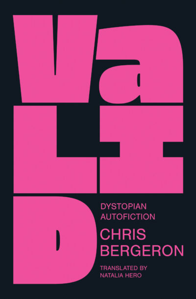 Book cover for Valid by Chris Bergeron