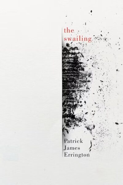 Book cover for The Swailing by Patrick James Errington
