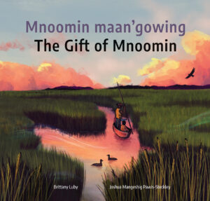 Mnoomin maan'gowing / The Gift of Mnoomin book cover