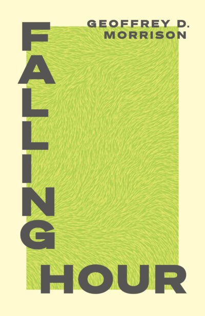Book cover for Falling Hour by Geoffrey D. Morrison