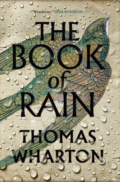 Book cover for The Book of Rain by Thomas Wharton