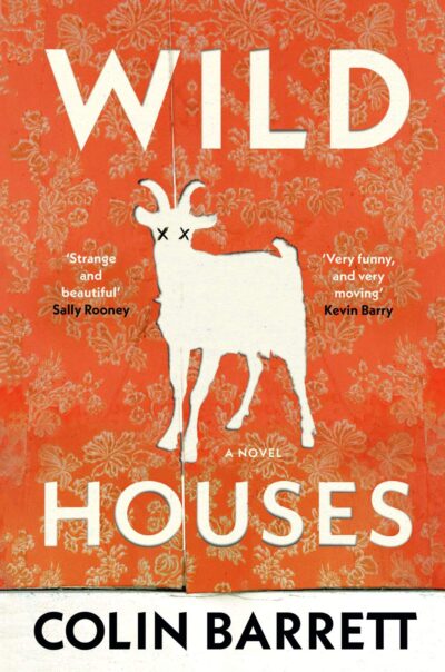 The book cover of Wild Houses by Colin Barrett