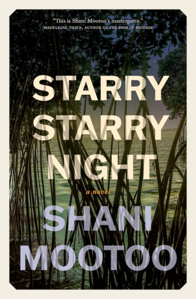 cover of Starry Starry Night