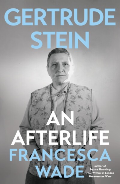 Cover for Gertrude Stein: An Afterlife