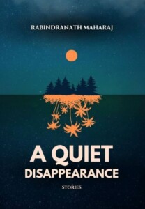 A Quiet Disappearance Cover