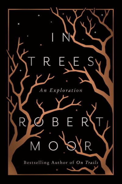 Cover of In Trees: An Exploration