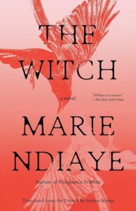 The Witch Cover