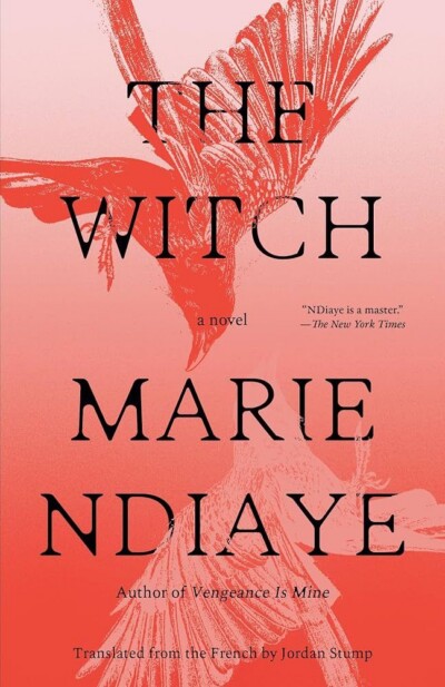 Cover of The Witch