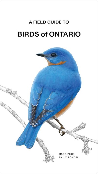 Cover of A Field Guide to Birds of Ontario
